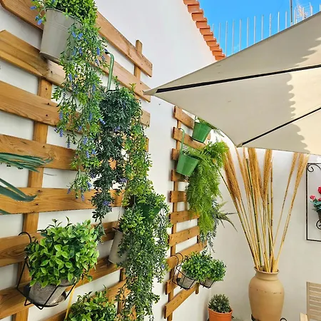 De La Huerta 2*